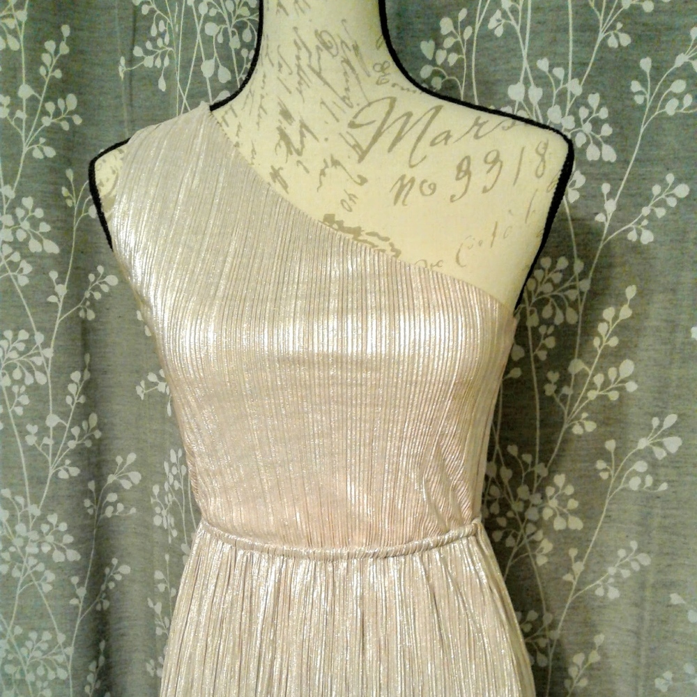 Shiny Express Dress - Picture 2 of 8